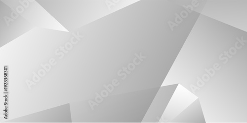 Abstract white and gray glass shape modern background. texture white pattern. vector illustration