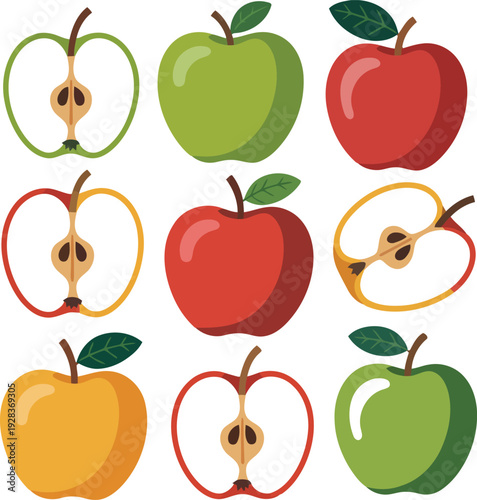 Colorful apple variety vector illustration.