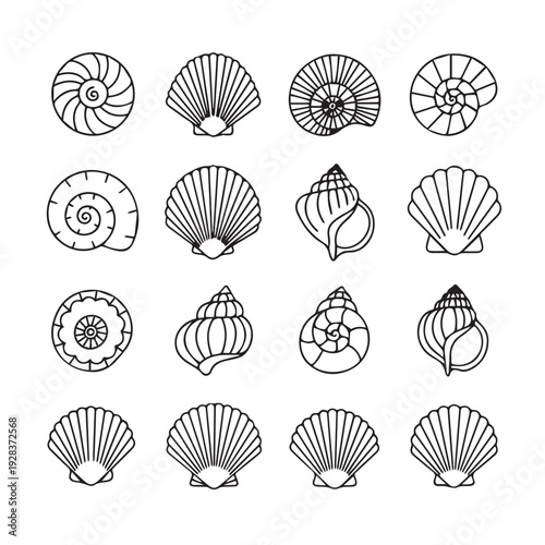 Collection of Seashell and Snail Shell Line Drawings for Design