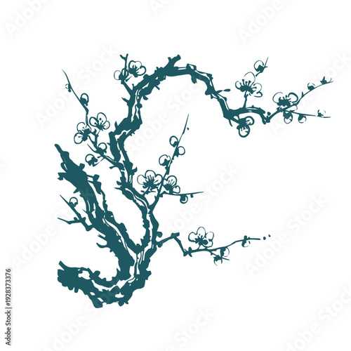 plum blossom korean japanese chinese vector ink traditional asian design isolated