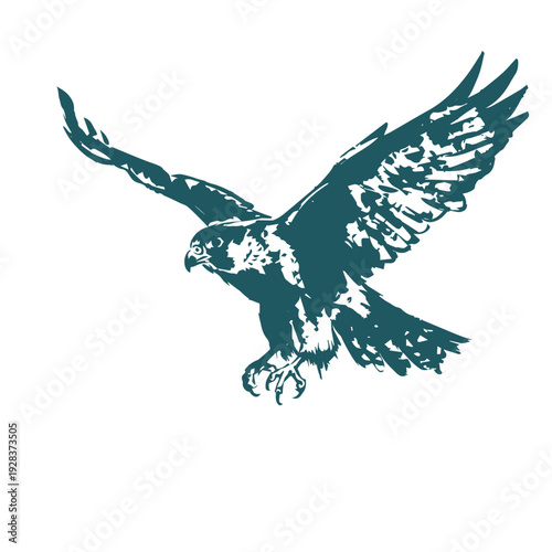 falcon fly japanese chinese vector ink traditional asian design isolated