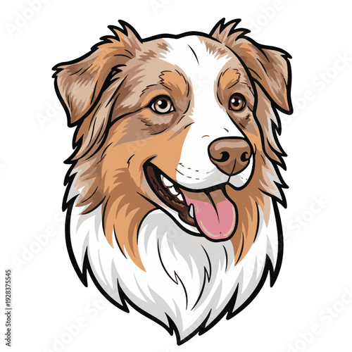 Australian Shepherd Vector Design - Red Merle Aussie Dog Illustration. Cute Australian Shepherd Head Portrait, Happy Dog Face Vector Design.