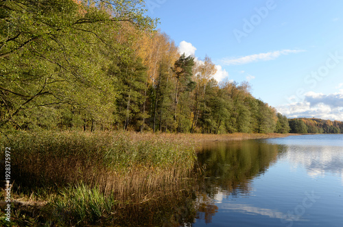 Lake Marinovo. Vishtynetsky Nature Park. Kaliningrad region
