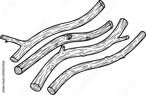 Hand drawn black and white wooden branches with visible grain and knots white background