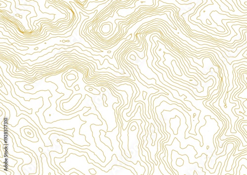 Curvas de nivel sobre fondo blanco. Mapa topográfico, cartografía.