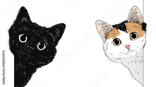 Two cartoon cat portraits, one black and one calico, peeking from behind a white edge