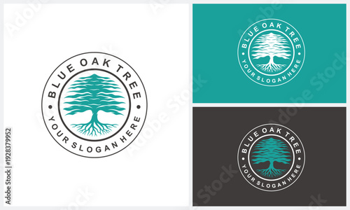 Oak Tree with Root Leaf for label stamp logo design