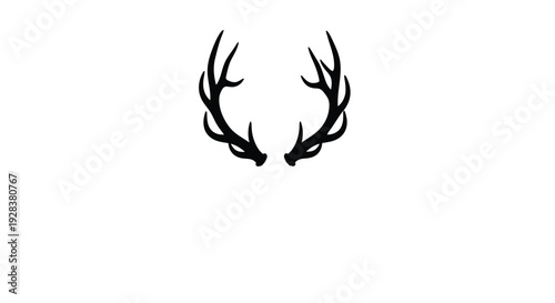 Minimalist black antlers against a white background a striking silhouette