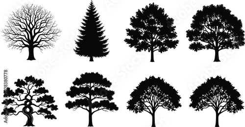 Black vector silhouette collection featuring deciduous oak trees, coniferous pine, spruce, leafless winter branches, and decorative bonsai tree shapes on white.