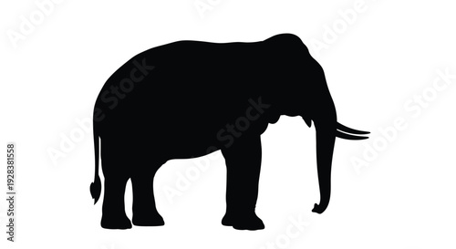 A striking black silhouette of an african elephant stands prominently