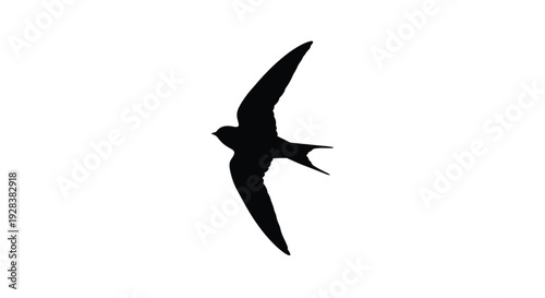 A sleek bird in flight captured as a striking black silhouette