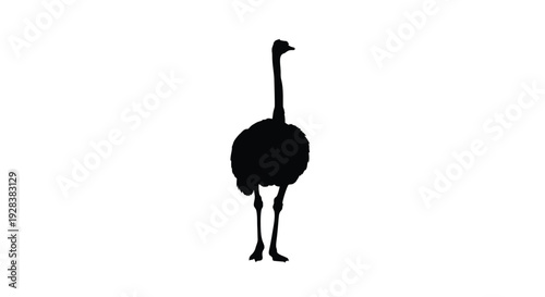 A striking black silhouette of an ostrich standing gracefully silhouette