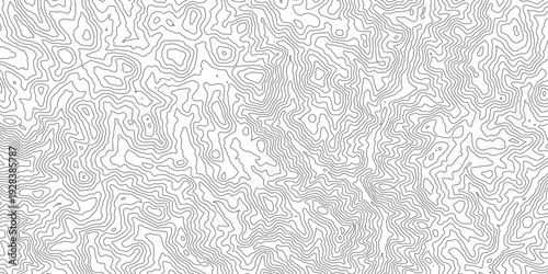 Mapa topográfico. Curvas de nivel. Cartografía. Curvas de nivel 