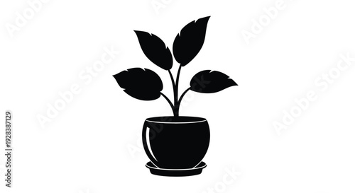 Simple black plant in a pot a striking silhouette