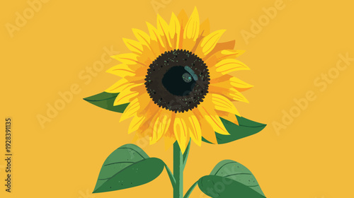 A vibrant illustration depicts a blooming sunflower against a yellow background