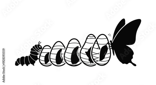 Caterpillar transforming into butterfly metamorphosis process