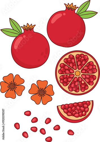 Fresh Red Pomegranate Fruit Set with Whole Fruits, Half Sliced Sections, Seeds, and Orange Flowers for Healthy Food Labels, Organic Juice Packaging, and Botanical Design