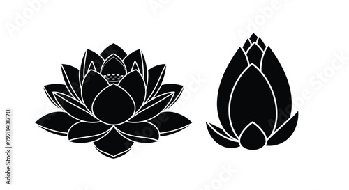 Black and white lotus flower designs a striking silhouette