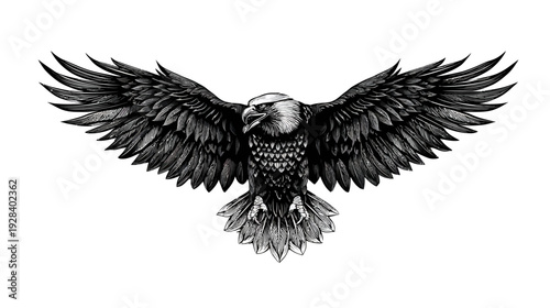 A detailed illustration of an eagle with spread wings, in black and white, against a white background