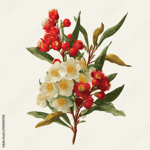 Create a Hand drawn Australian native flowers vector art of white background