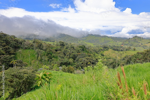 Mashpi Amagusa, natural reserve, Ecuador