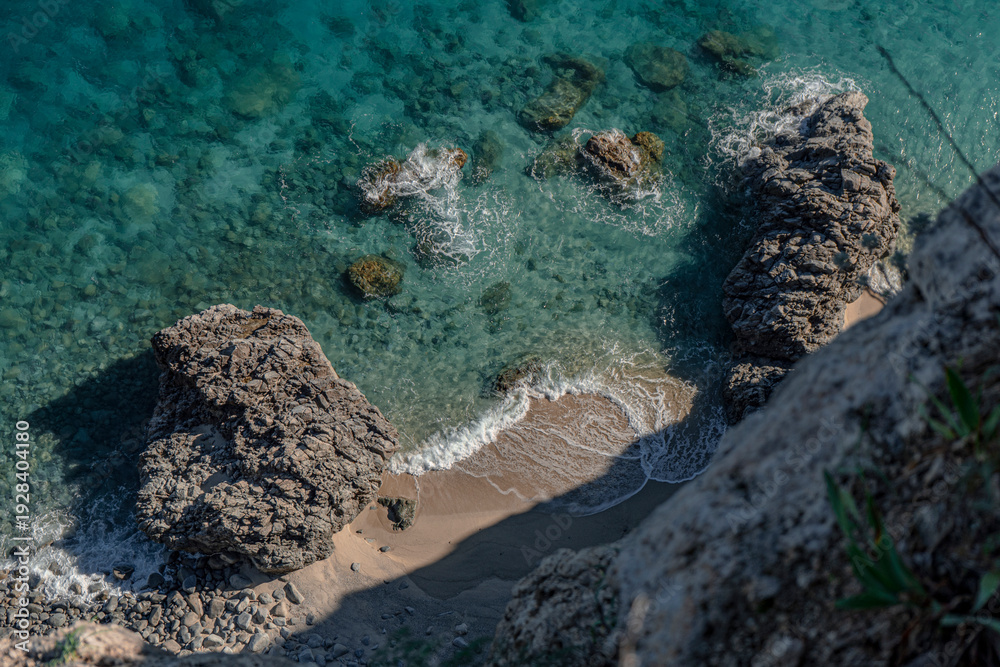 Fototapeta premium coral reef in the sea