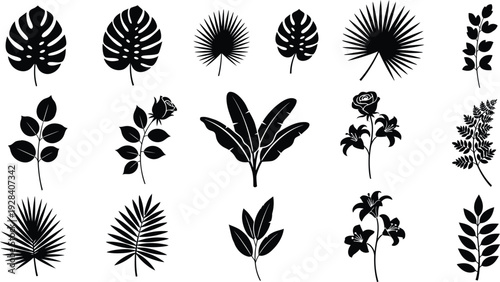 Collection of diverse leaf silhouettes