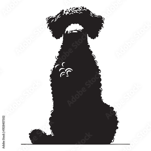 Hungarian Pumi Dog – Energetic Herding Breed, Curly Coat, Alert Ears, Intelligent Working Companion, Agile Farm Dog, Loyal Family Pet, Playful Nature, Lively Personality, Medium Size.