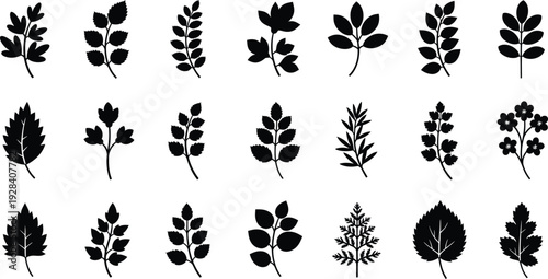 Collection of various leaf silhouettes