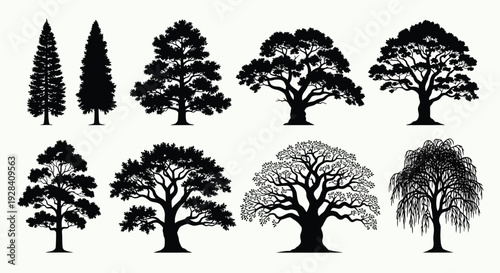 Silhouettes of various tree types arranged in a grid formation