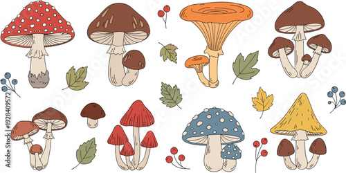 Hand drawn forest mushroom collection with autumn leaves berries and wild fungi vector illustration set