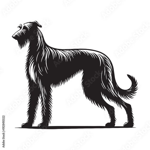 PrinIrish Wolfhound Dog – Giant Sighthound Breed, Gentle Temperament, Majestic Appearance, Loyal Companion, Strong Hunting Heritage, Tallest Dog Breed, Courageous, Calm Nature, Family Friendly, Noble.