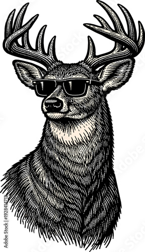 White Tailed Deer Buck with Antlers and Sunglasses Vector Illustration Woodcut