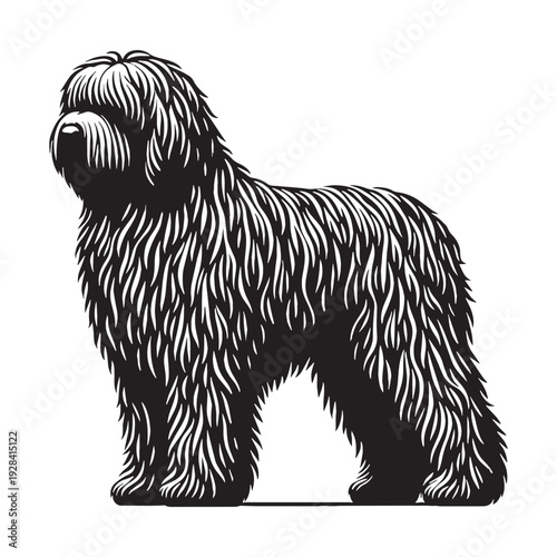 Komondor Dog – Majestic Hungarian Livestock Guardian, Distinctive Corded Coat, Protective Nature, Loyal Family Protector, Powerful Build, Intelligent Working Breed, Brave Temperament, Farm Defend.