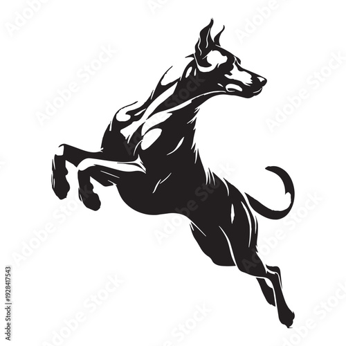 Kuvasz Dog – Majestic Hungarian Livestock Guardian, Loyal Family Protector, Powerful White Coat Breed, Courageous Temperament, Intelligent Working Dog, Strong Build, Watchful Nature, Farm Defend.