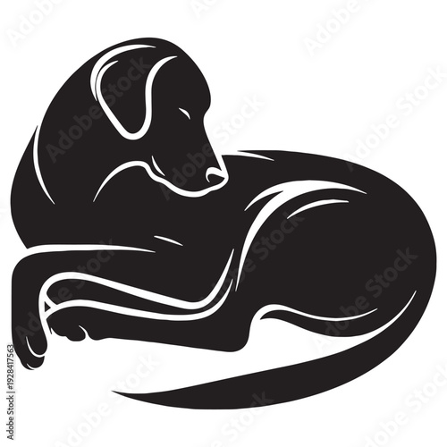 Kuvasz Dog – Majestic Hungarian Livestock Guardian, Loyal Family Protector, Powerful White Coat Breed, Courageous Temperament, Intelligent Working Dog, Strong Build, Watchful Nature, Farm Defend.