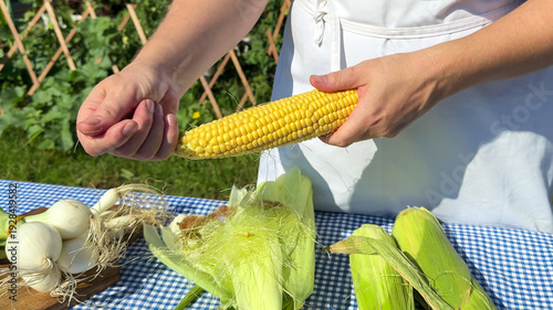 Billede på lærred Harvest bounty unfolds under sunlit skies as Caucasian female hands shuck golden