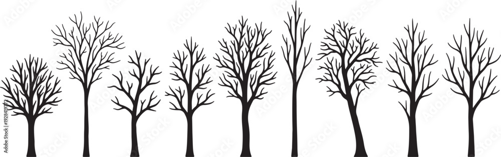 Obraz premium A row of bare black trees with intricate branches against a white background also transparent background