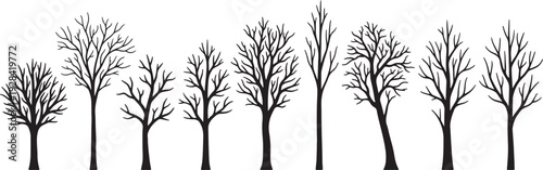 A row of bare black trees with intricate branches against a white background also transparent background