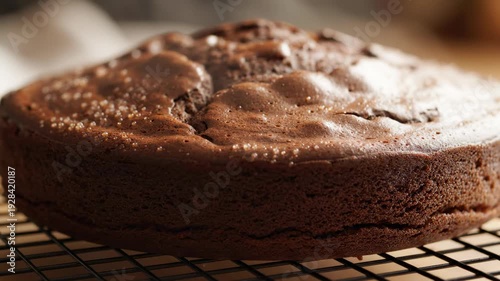 A delicious gourmet plate displays a homemade chocolate cake, a chocolate cake with nuts, and a sweet chocolate chip muffin as a tasty baked dark dessert
