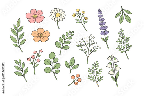 A collection of hand-drawn botanical illustrations featuring various flowers, leaves, and berries in a flat, colorful style set against a solid black background.