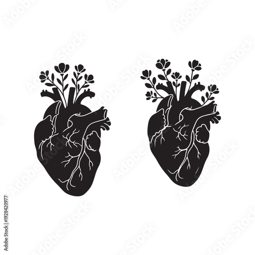 Anatomical human heart with blooming flowers botanical art design