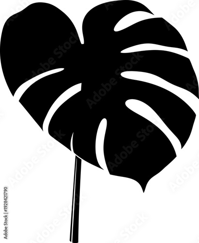 Monstera deliciosa leaf silhouette illustration