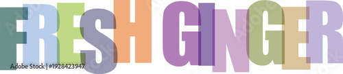 Colorful typographic text fresh ginger with multicolored block letters typography