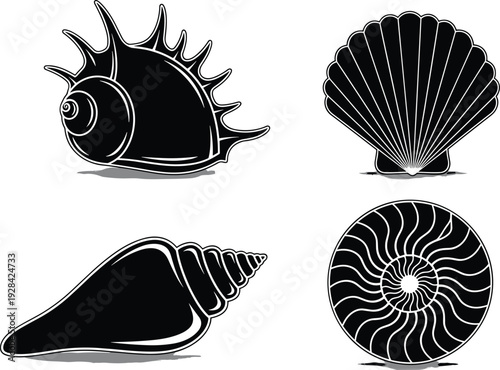 Shell Icon Set Featuring Spiral, Conch, and Seashells for Beach, Ocean, and Marine Design Projects
