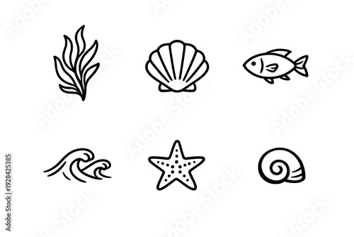 A collection of six minimalist line art icons representing marine life, including seaweed, a scallop shell, a fish, ocean waves, a starfish, and a spiral snail shell.