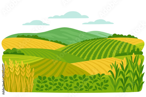 This colorful illustration depicts a scenic rural landscape featuring diverse agricultural fields, including corn and wheat, set against rolling green hills and a cloudy sky.
