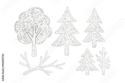 This set of white hand-drawn illustrations on a black background features several types of trees, including evergreens and a leafy tree, along with bare branches and twigs.