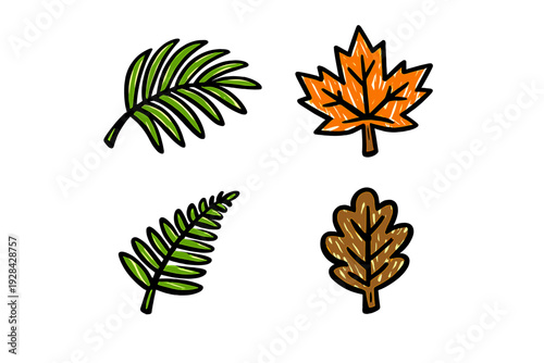 A collection of four hand-drawn leaf illustrations featuring a green palm frond, an orange maple leaf, a green fern, and a brown oak leaf set against a solid black background.
