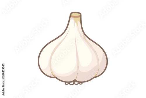 A stylized illustration of a single garlic bulb with white cloves and a small stem, isolated against a solid black background. The drawing features clean lines and soft shading.